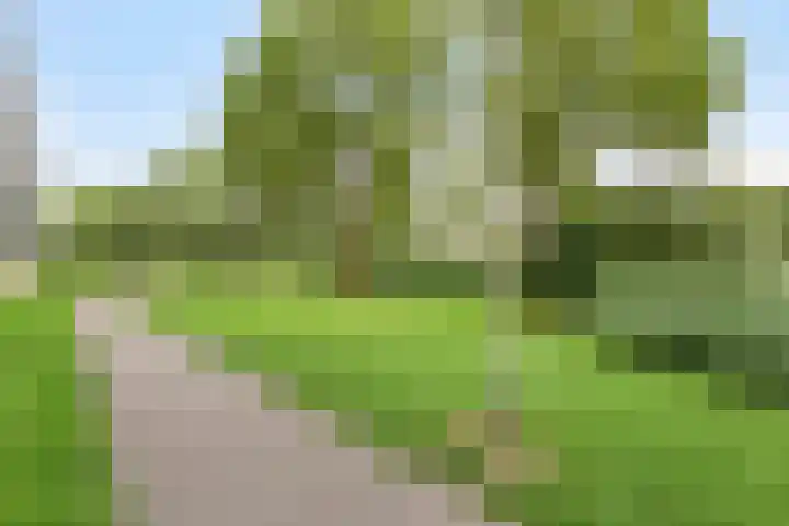 Argostraat 236 Alphen aan den Rijn thumbnail 32