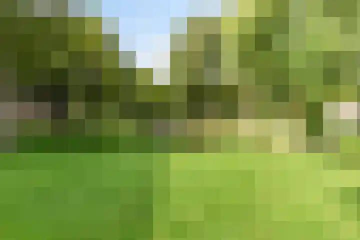 Argostraat 236 Alphen aan den Rijn thumbnail 33