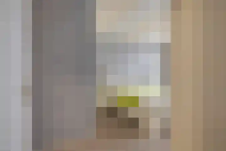 Argostraat 24 Eindhoven thumbnail 14
