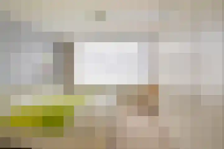 Argostraat 24 Eindhoven thumbnail 15