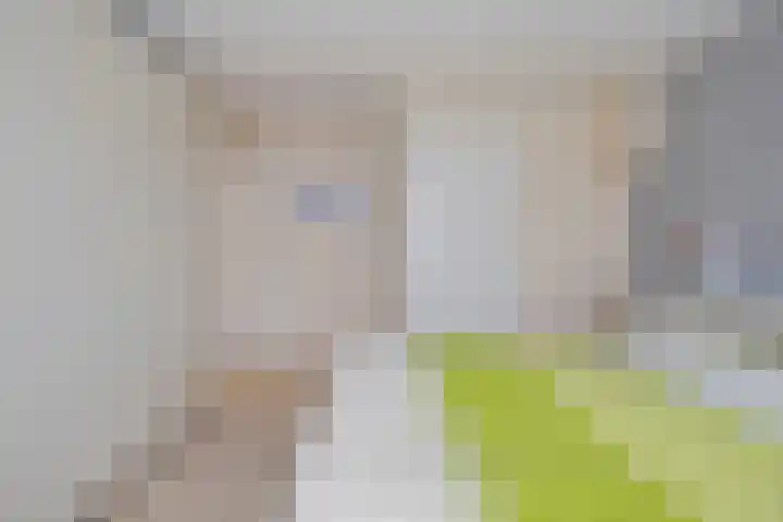 Argostraat 24 Eindhoven thumbnail 16