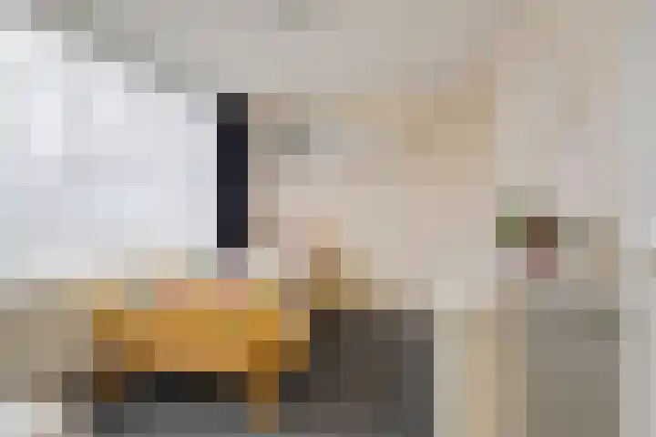 Argostraat 24 Eindhoven thumbnail 17