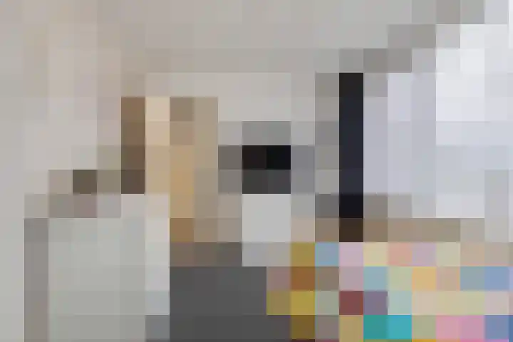 Argostraat 24 Eindhoven thumbnail 18