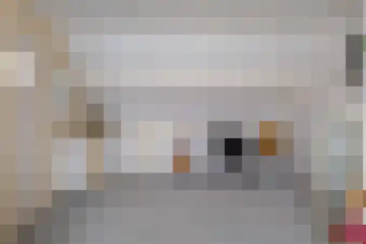 Argostraat 24 Eindhoven thumbnail 25