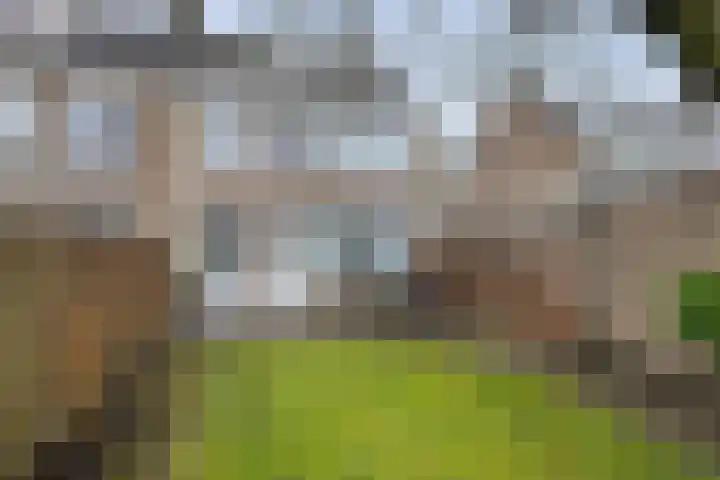 Argostraat 24 Eindhoven thumbnail 26