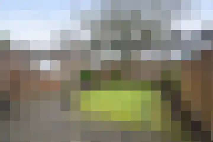 Argostraat 24 Eindhoven thumbnail 27