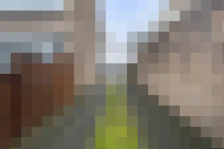 Argostraat 24 Eindhoven thumbnail 29