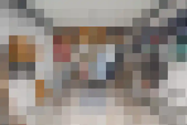 Argostraat 24 Eindhoven thumbnail 30