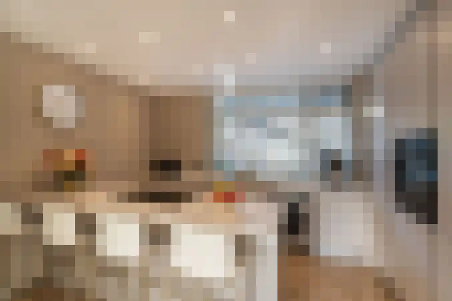 Argostraat 32 Alphen aan den Rijn thumbnail 4