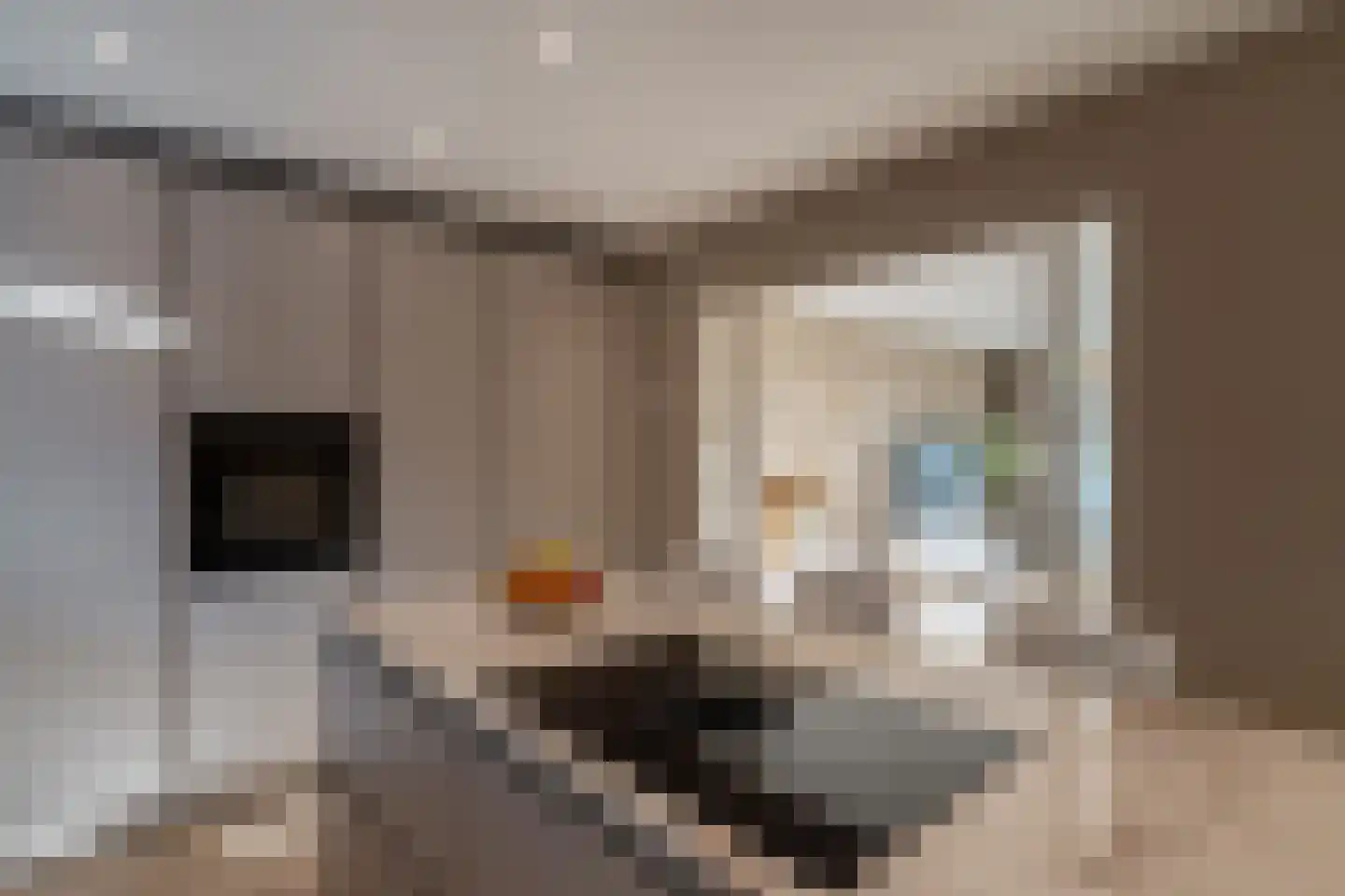 Argostraat 32 Alphen aan den Rijn thumbnail 7