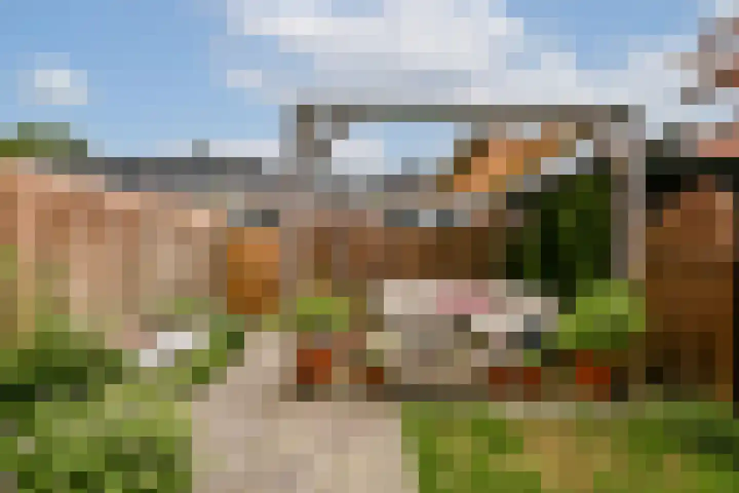 Argostraat 38 Amsterdam thumbnail 16