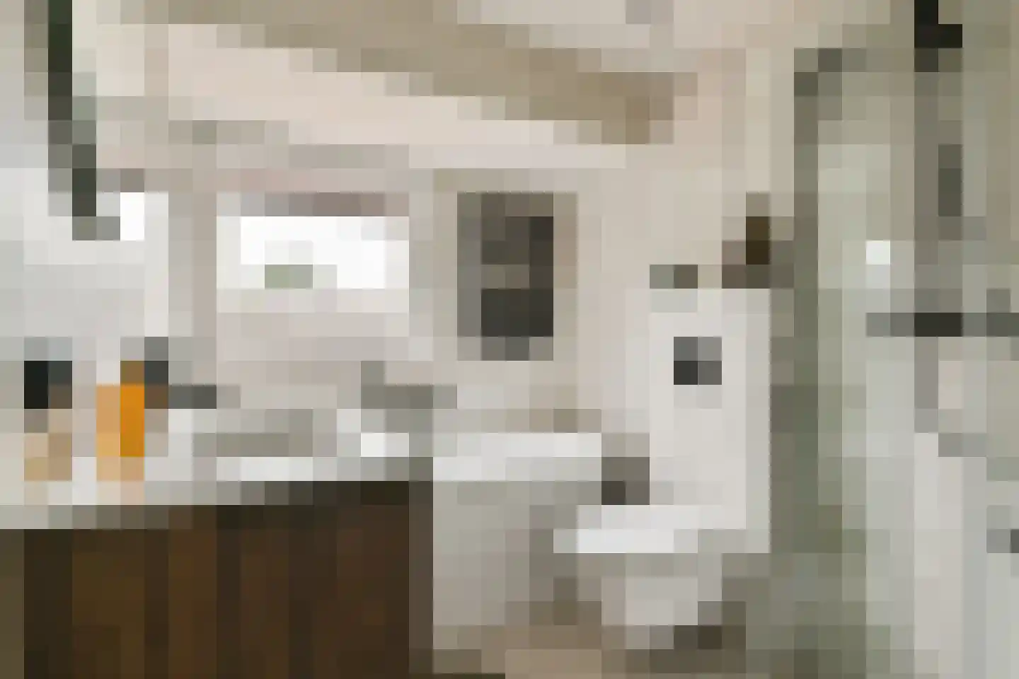 Argostraat 38 Amsterdam thumbnail 24