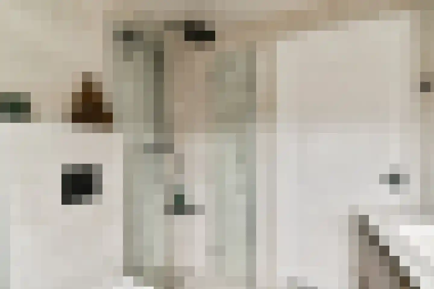 Argostraat 38 Amsterdam thumbnail 25