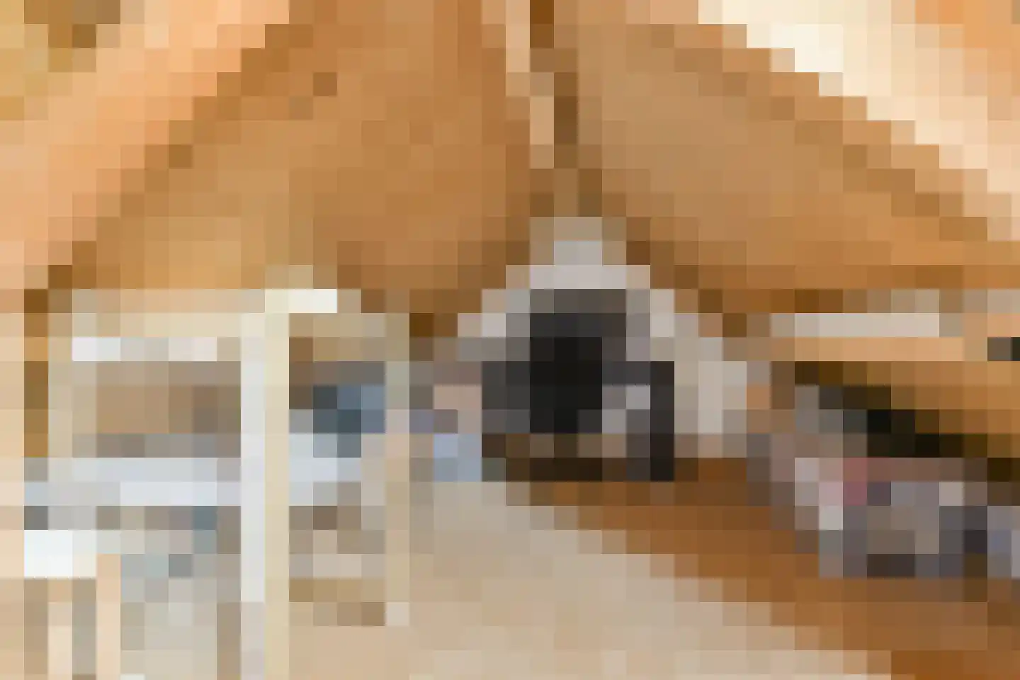 Argostraat 38 Amsterdam thumbnail 29