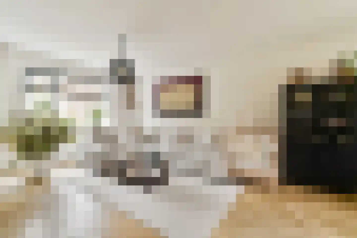 Argostraat 38 Amsterdam thumbnail 4