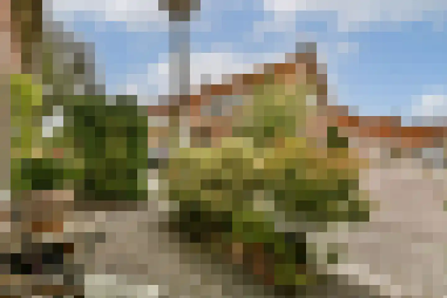 Argostraat 38 Amsterdam thumbnail 7