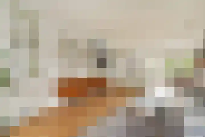 Argostraat 56 Amsterdam thumbnail 12