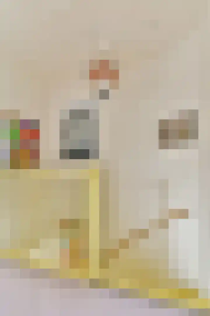 Argostraat 56 Amsterdam thumbnail 20