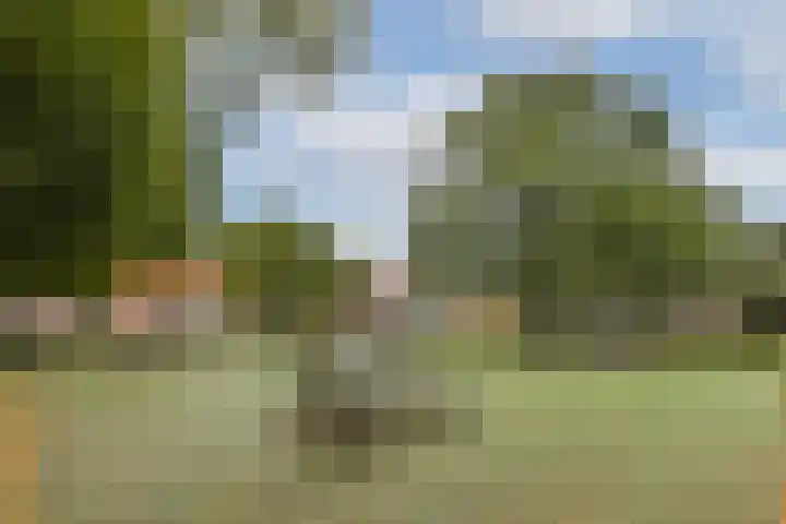 Argostraat 56 Amsterdam thumbnail 32
