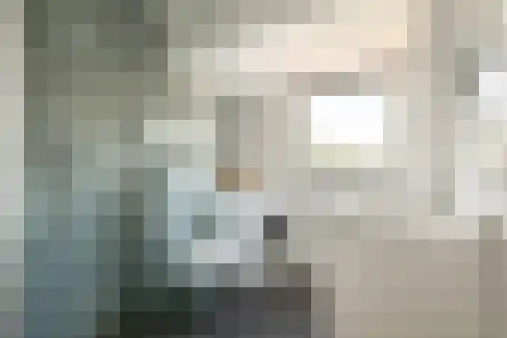 Argostraat 56 Amsterdam thumbnail 5
