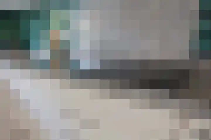 Argusvlinder 10 Leiden thumbnail 10