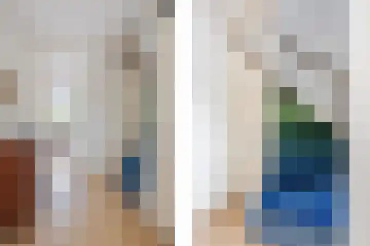 Argusvlinder 10 Leiden thumbnail 12
