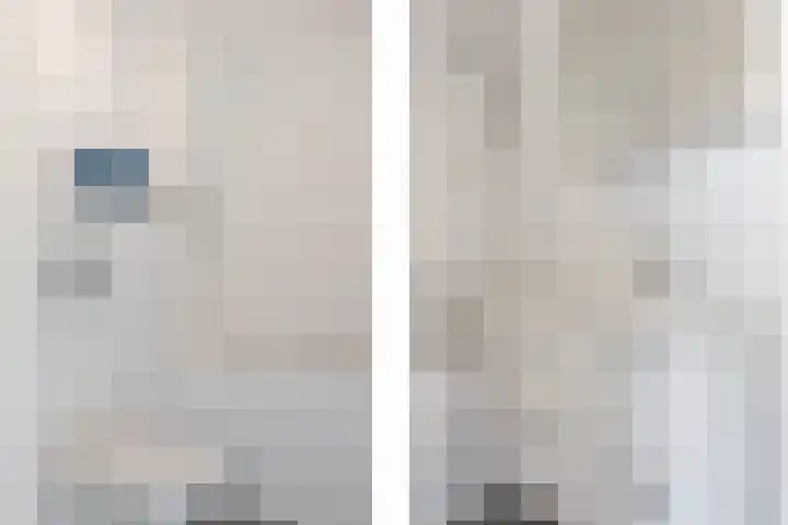 Argusvlinder 10 Leiden thumbnail 18