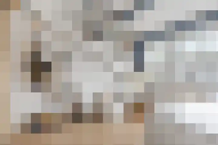 Argusvlinder 10 Leiden thumbnail 20