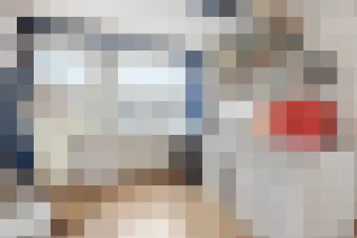 Argusvlinder 10 Leiden thumbnail 21