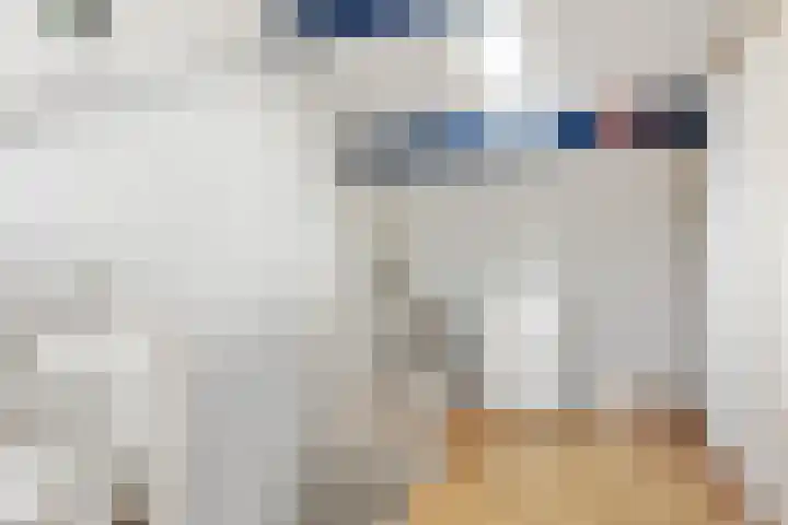 Argusvlinder 10 Leiden thumbnail 23