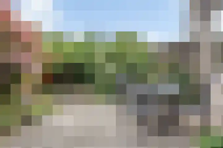 Argusvlinder 10 Leiden thumbnail 25