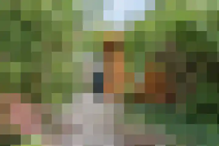 Argusvlinder 10 Leiden thumbnail 26