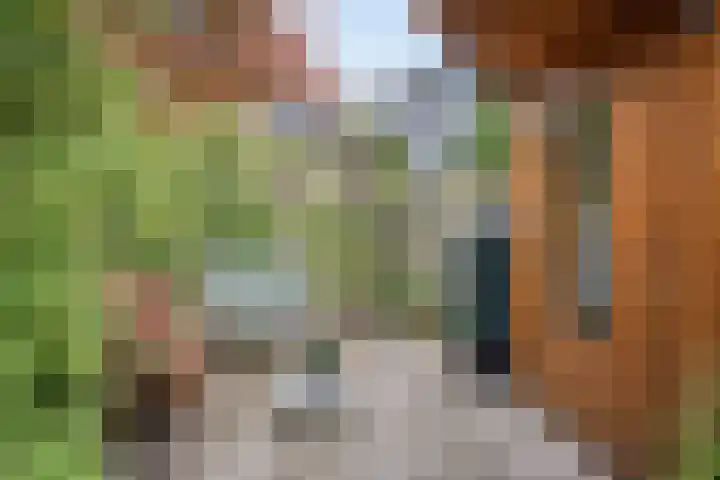 Argusvlinder 10 Leiden thumbnail 27