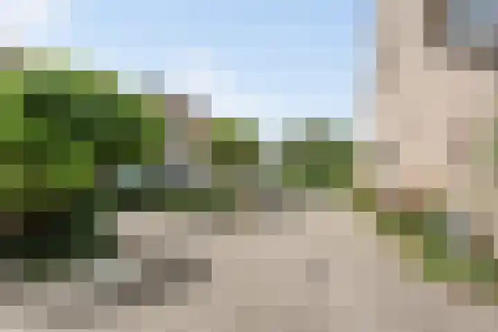 Argusvlinder 10 Leiden thumbnail 28