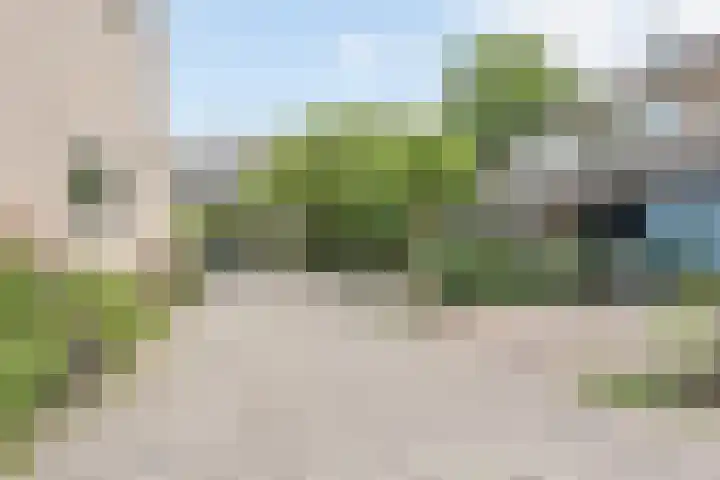 Argusvlinder 10 Leiden thumbnail 30