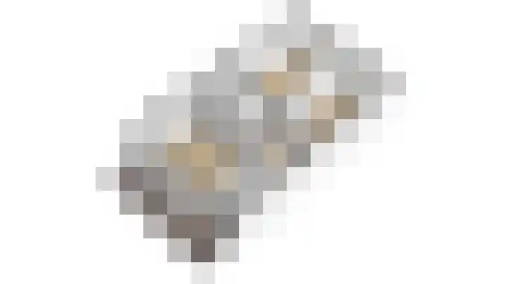Argusvlinder 10 Leiden thumbnail 34
