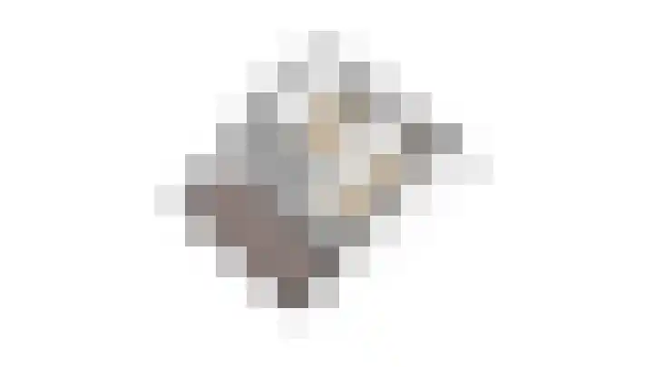 Argusvlinder 10 Leiden thumbnail 36