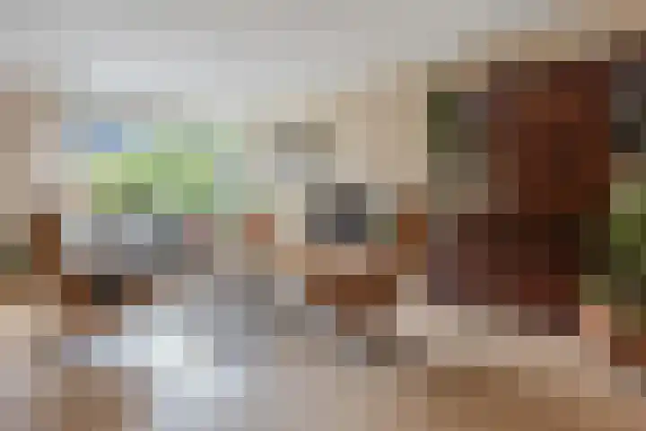 Argusvlinder 10 Leiden thumbnail 6