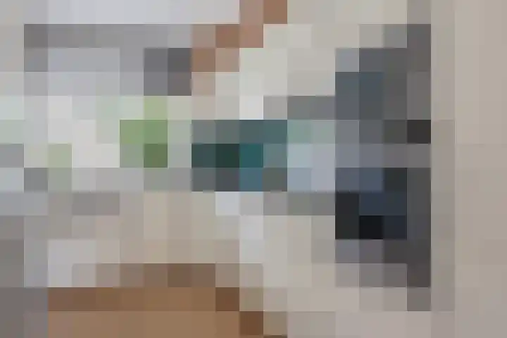 Argusvlinder 10 Leiden thumbnail 8