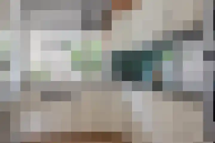 Argusvlinder 10 Leiden thumbnail 9