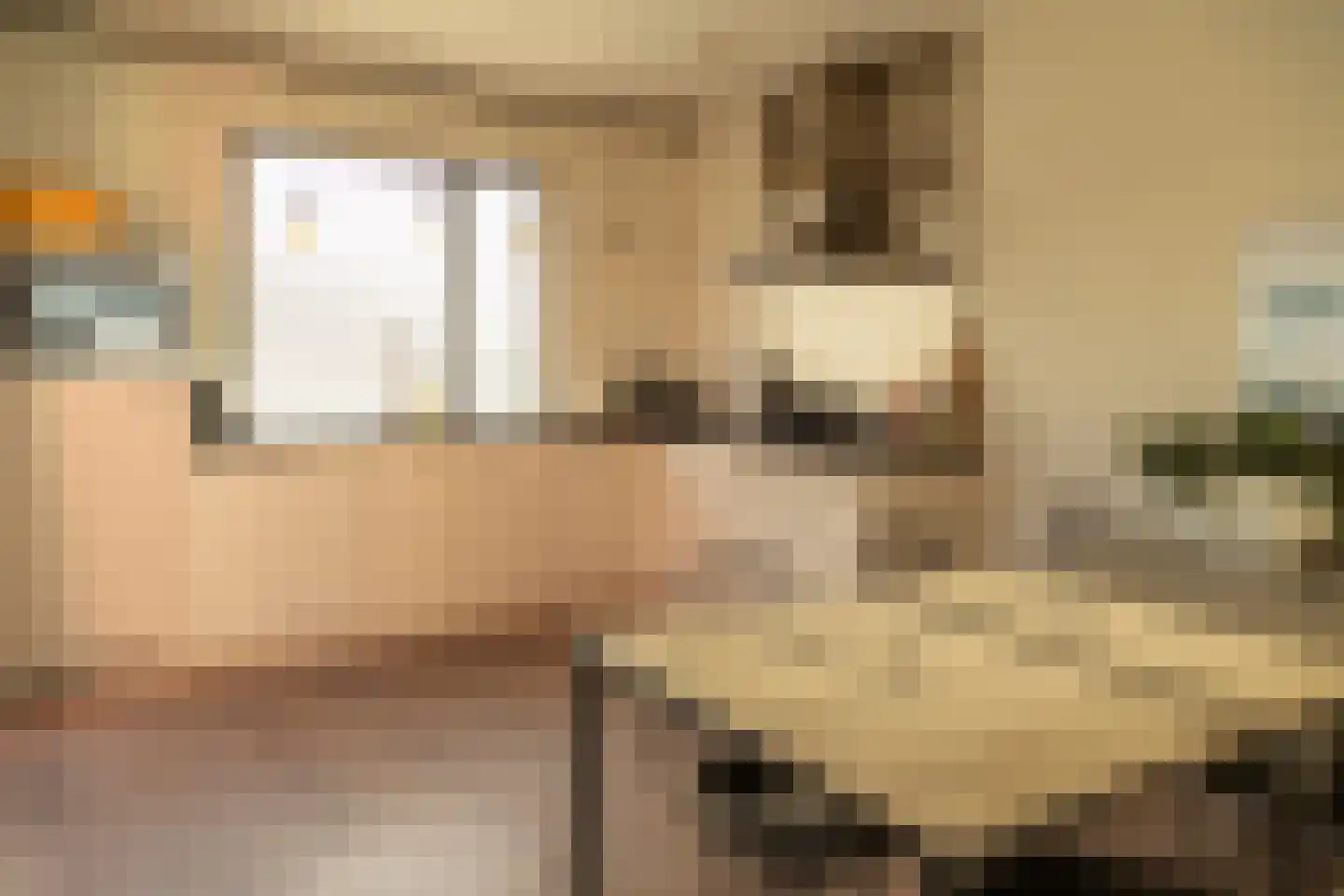 Argusvlinder 123 Breda thumbnail 14