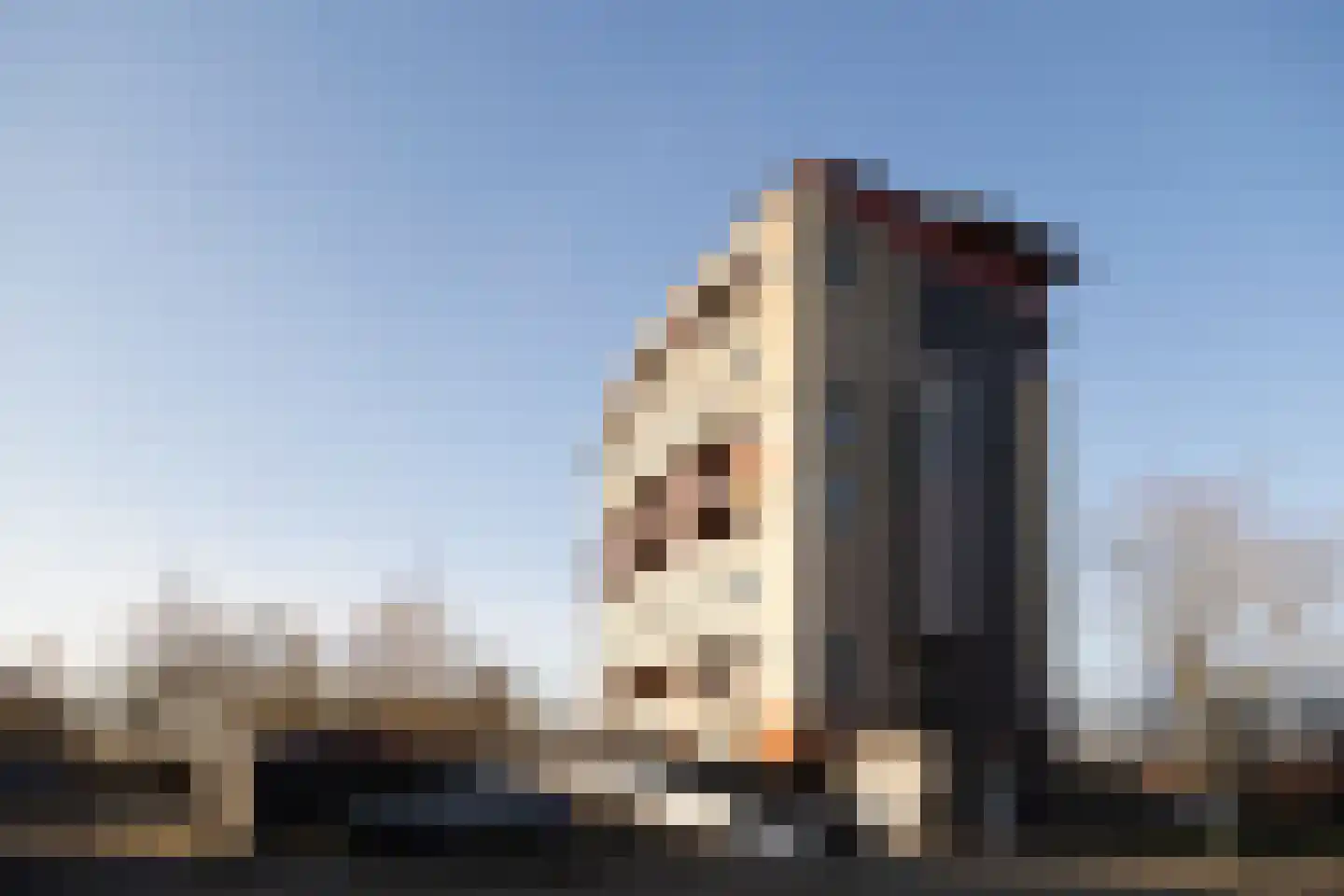 Argusvlinder 123 Breda thumbnail 15