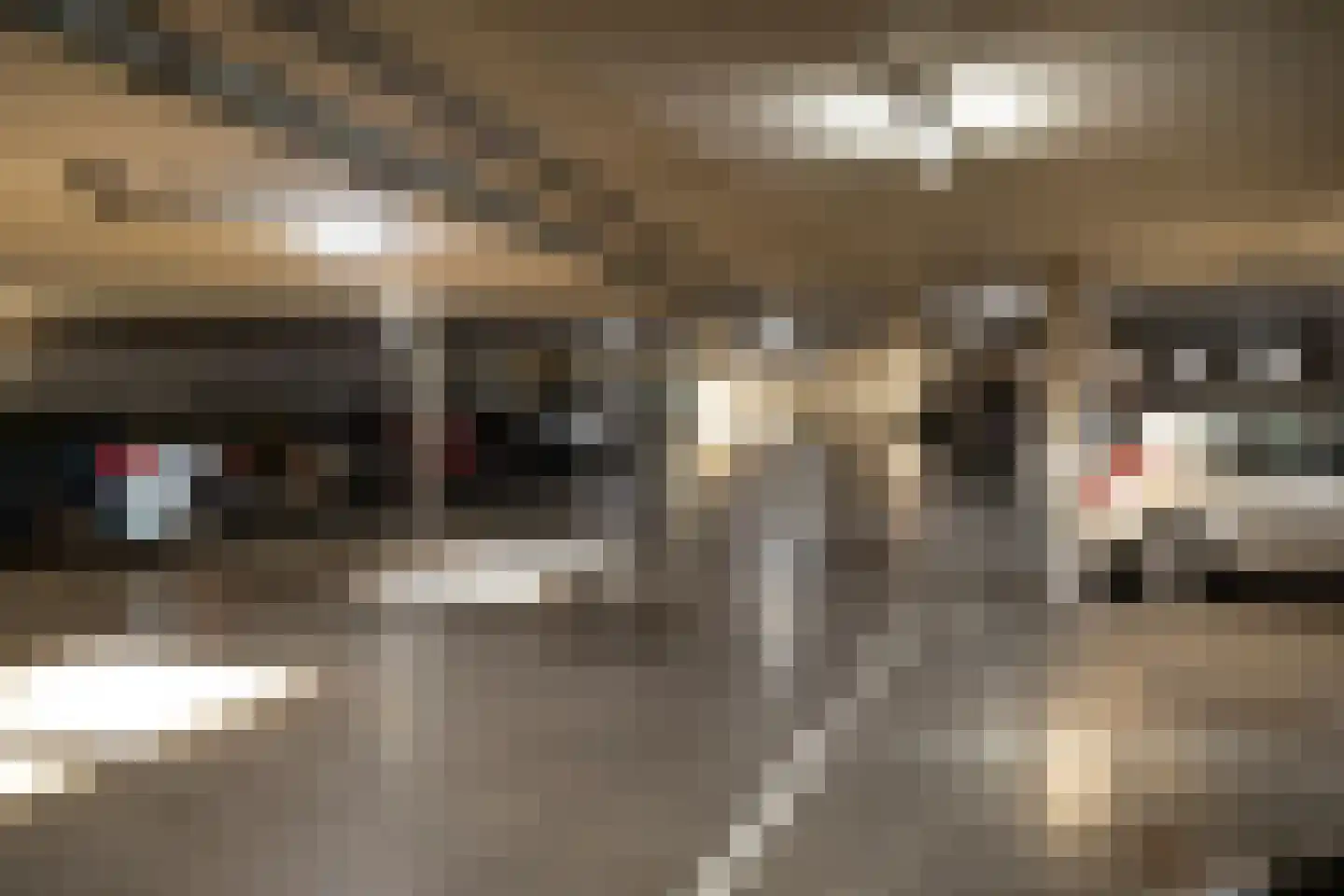Argusvlinder 123 Breda thumbnail 29