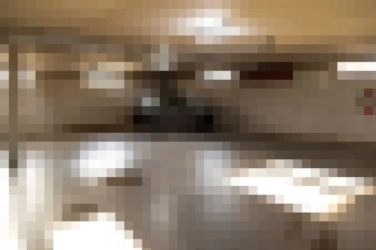 Argusvlinder 123 Breda thumbnail 30