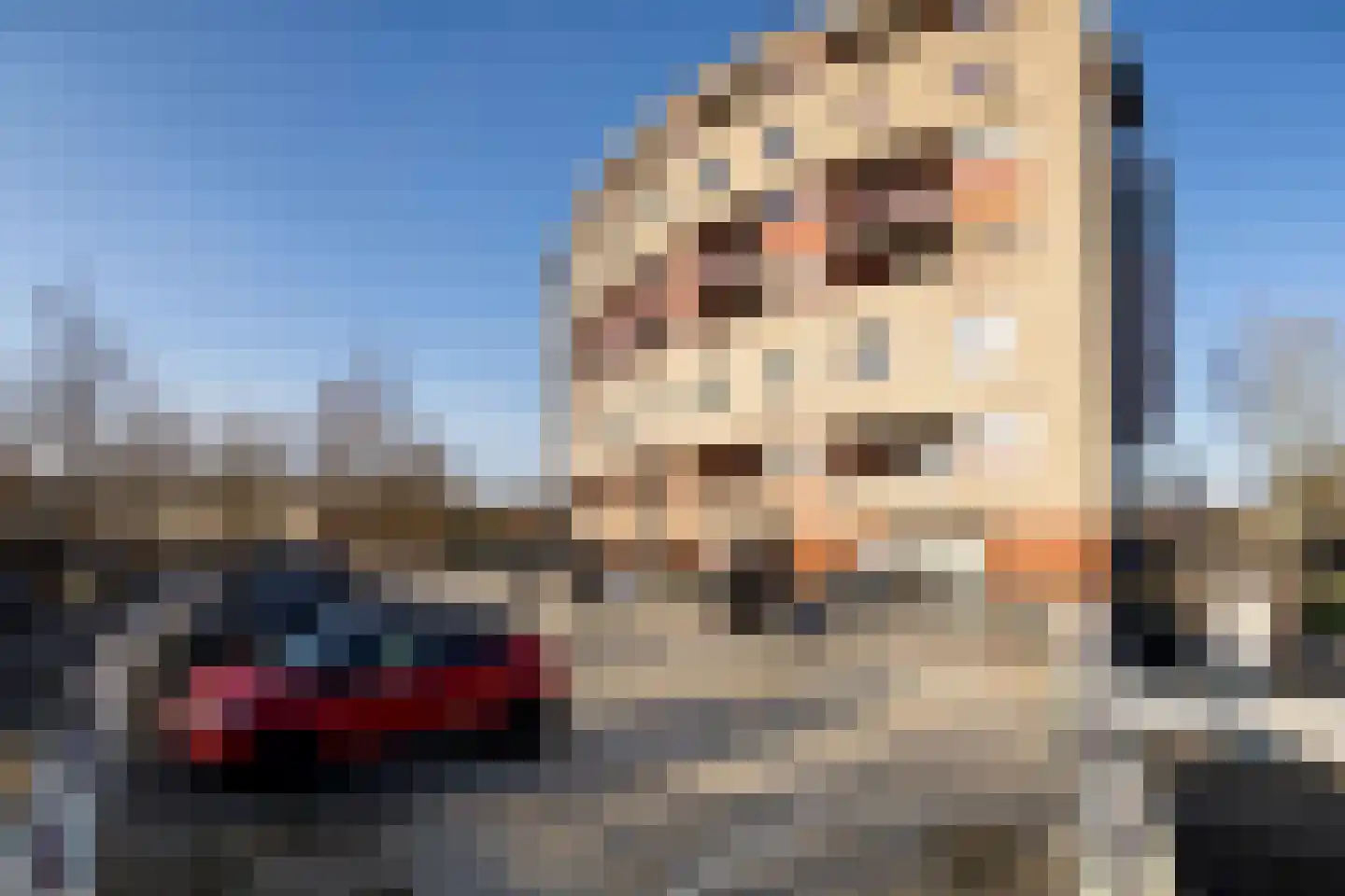Argusvlinder 123 Breda thumbnail 37
