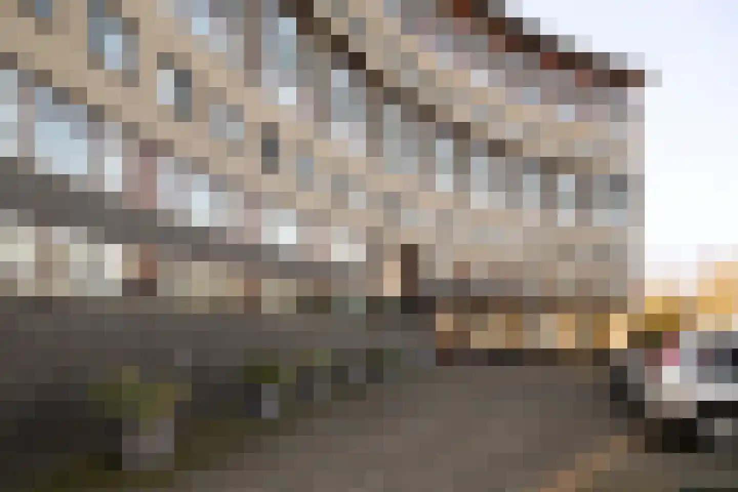 Argusvlinder 123 Breda thumbnail 38