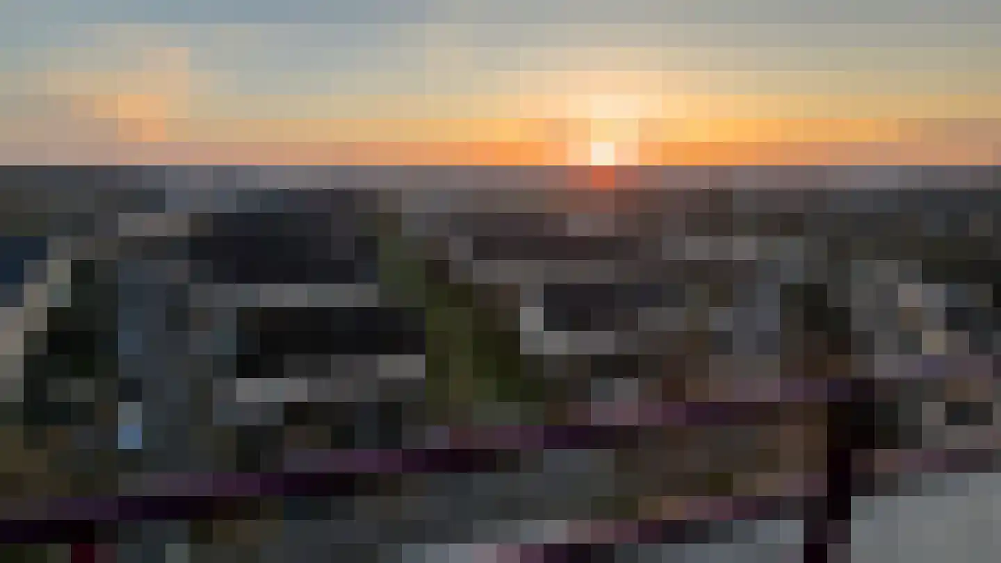 Argusvlinder 123 Breda thumbnail 39