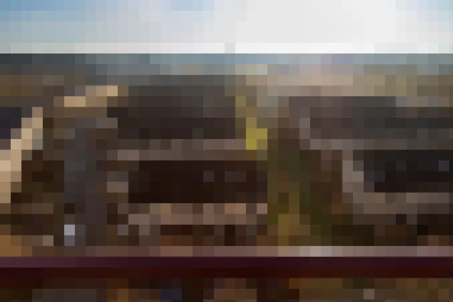 Argusvlinder 123 Breda thumbnail 40