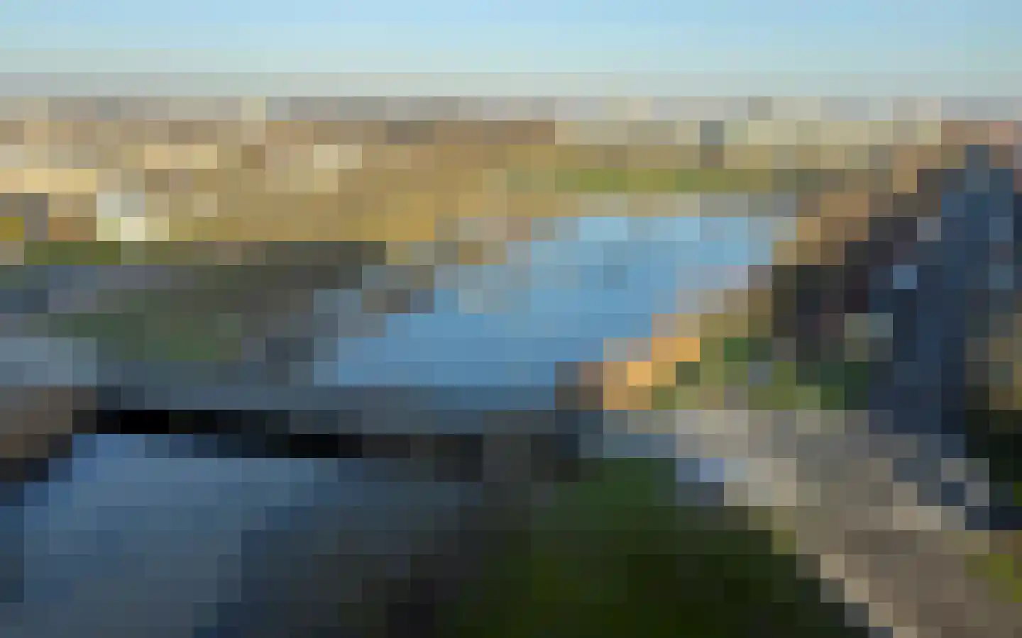 Argusvlinder 123 Breda thumbnail 5