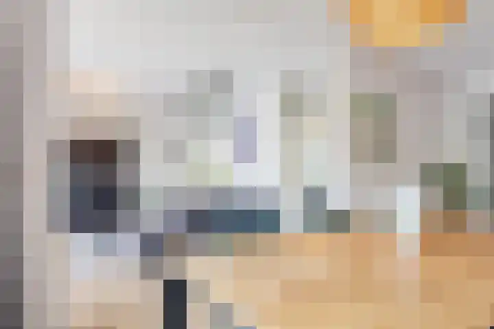 Argusvlinder 17 Breda thumbnail 10